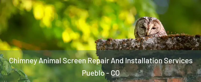  Chimney Animal Screen Repair And Installation Services Pueblo - CO