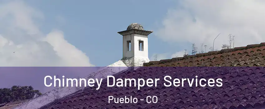  Chimney Damper Services Pueblo - CO