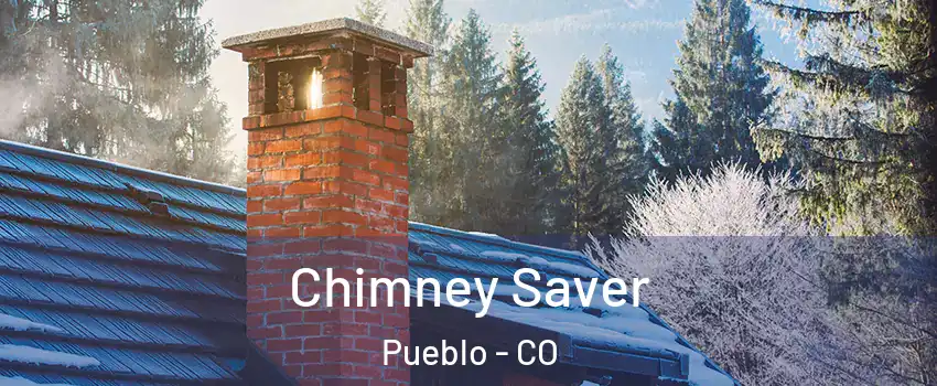  Chimney Saver Pueblo - CO