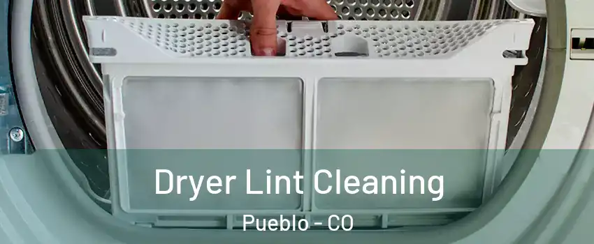  Dryer Lint Cleaning Pueblo - CO