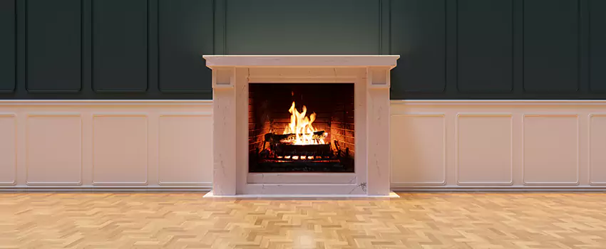 Napoleon Electric Fireplaces Inspection Service in Pueblo, Colorado
