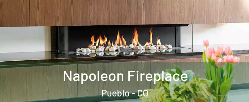  Napoleon Fireplace Pueblo - CO