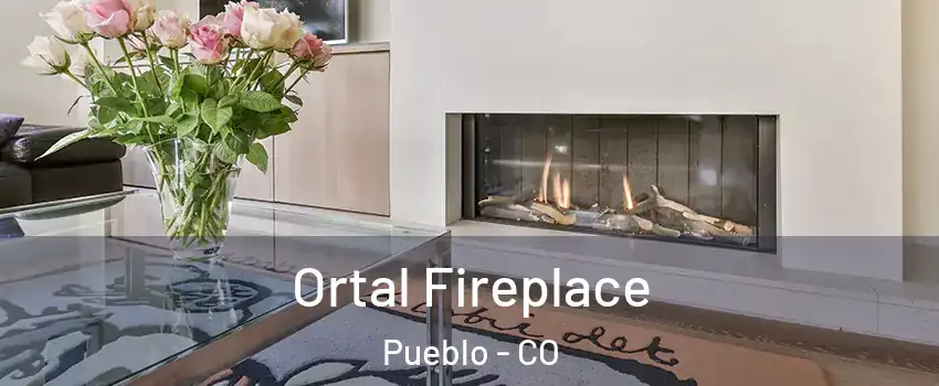  Ortal Fireplace Pueblo - CO